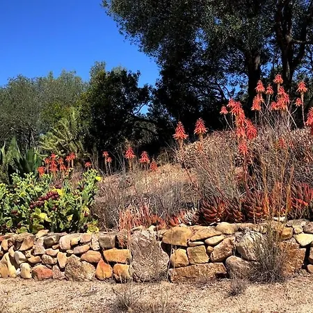 Liuru * 산프리아모