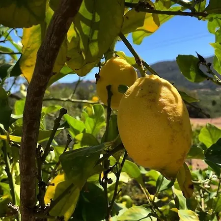 펜션 Liuru 산프리아모